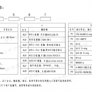 BM1系列（美标）马达