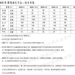 星空xingkong（中国）侧油口系列马达