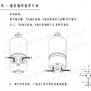 星空xingkong（中国）后油口系列马达