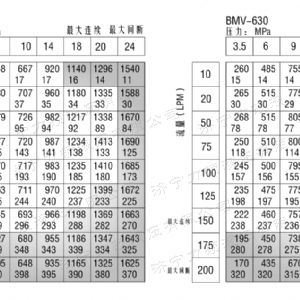 BMV大方系列马达