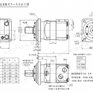 BMV大方系列马达