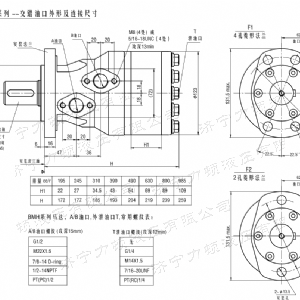 BMH系列交错油口星空官方网站马达