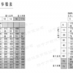 BM2横油口马达